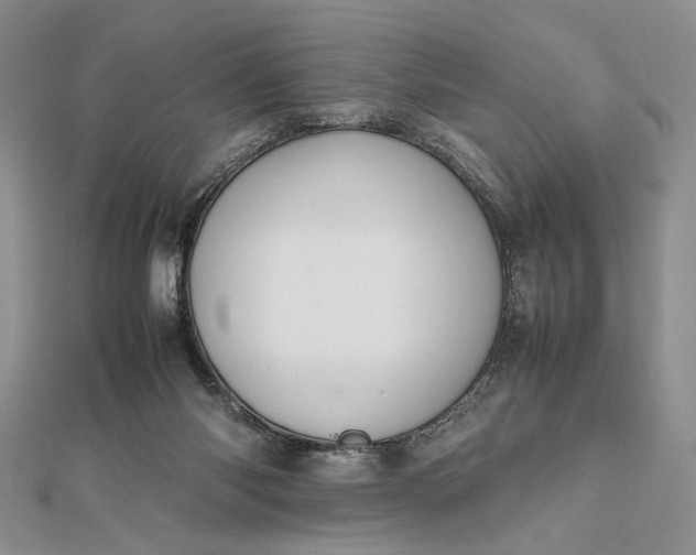 X0000112470118200908311358