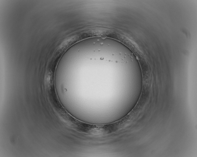 X0000112470119200908311358