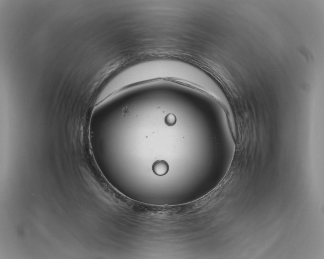 X0000112470120200908311358