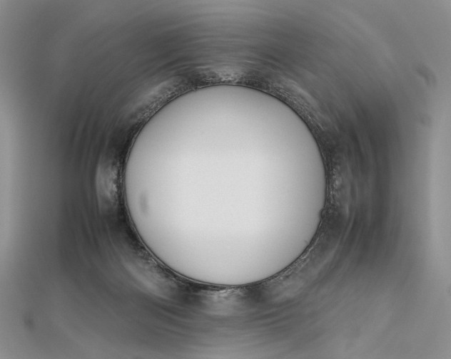 X0000112470122200908311358