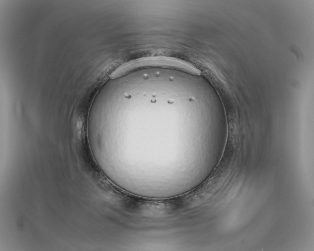 X0000112470123200908311358