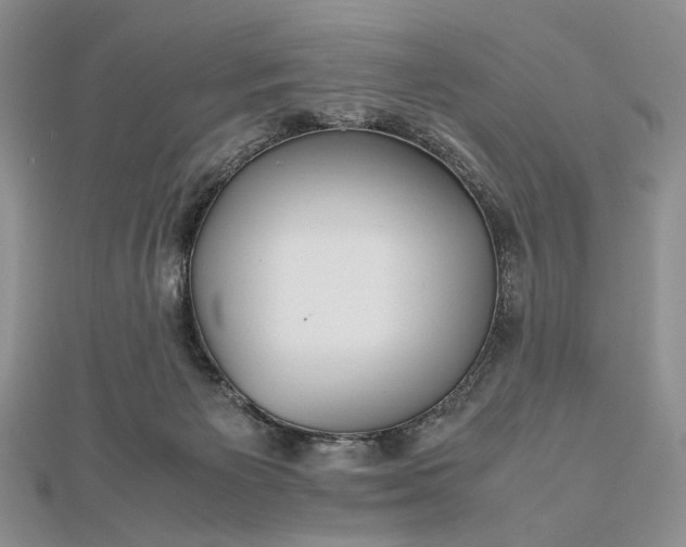 X0000112470125200908311358