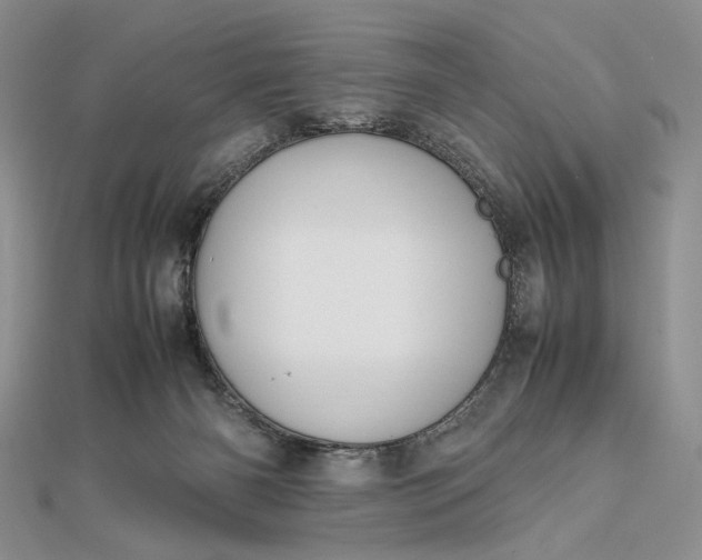 X0000112470126200908311358