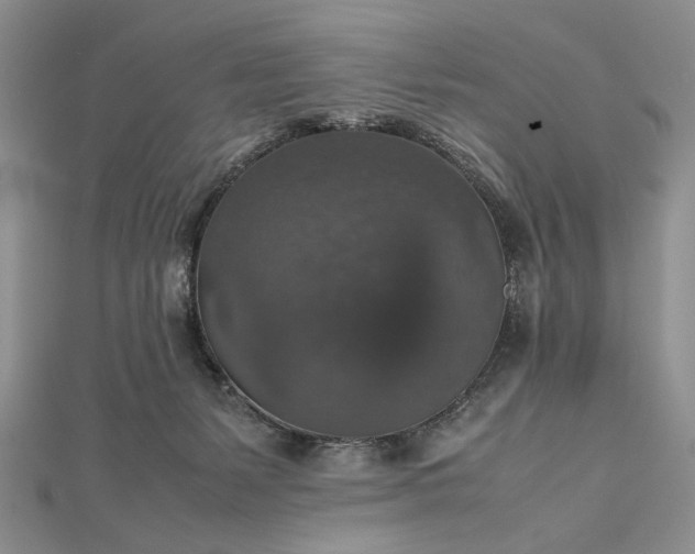 X0000112470127200908311358