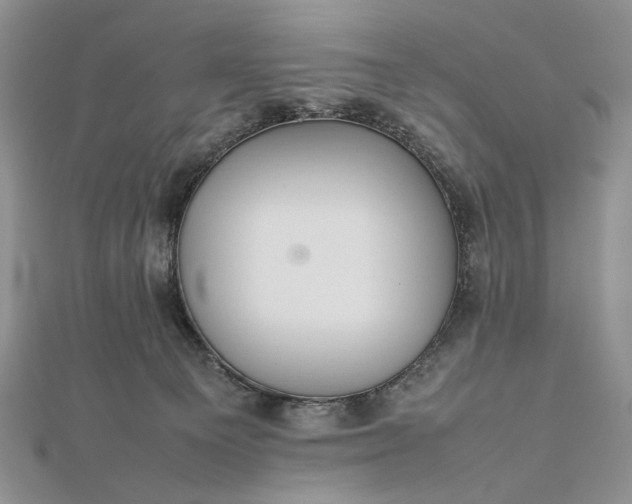 X0000112470129200908311358