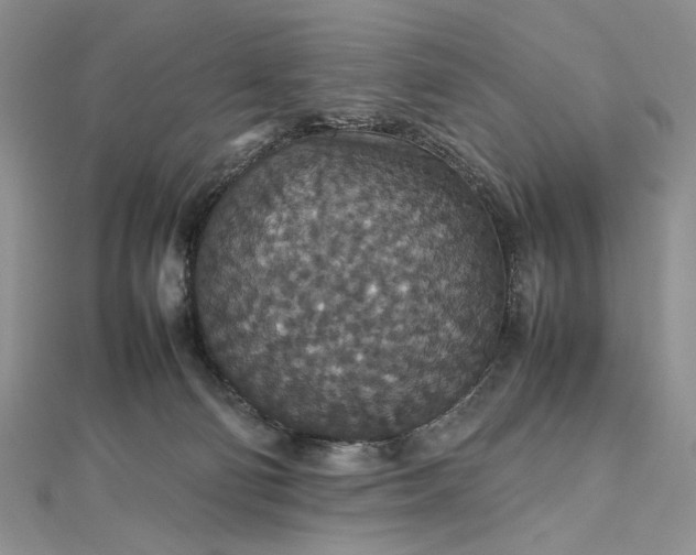 X0000112470130200908311358