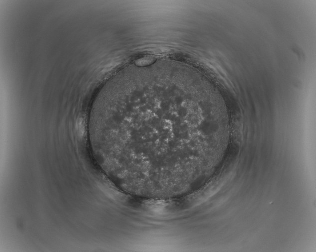 X0000112470131200908311358