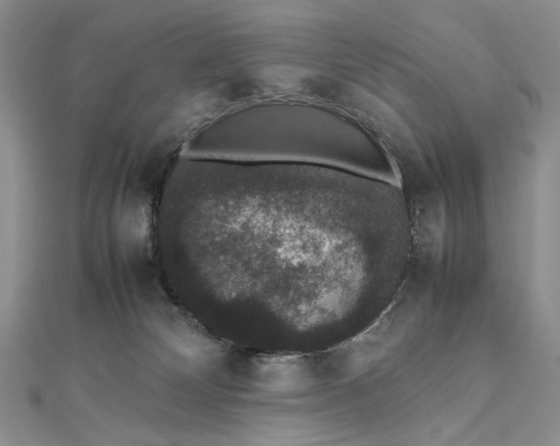 X0000112470132200908311358