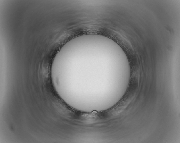 X0000112470133200908311358