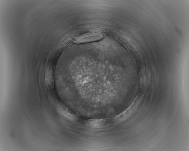 X0000112470136200908311358