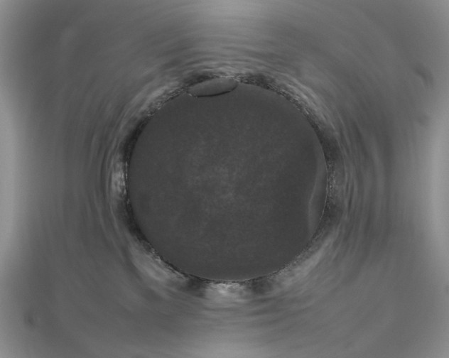 X0000112470137200908311358