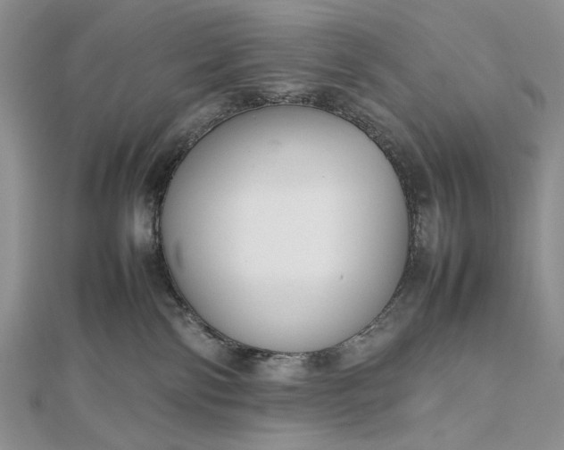 X0000112470138200908311358