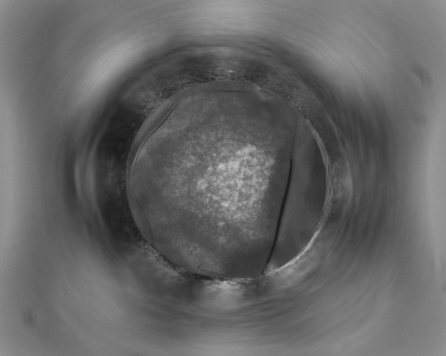 X0000112470140200908311358