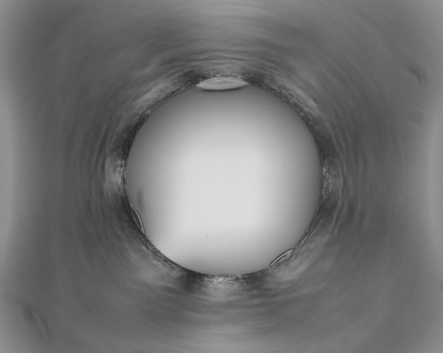 X0000112470141200908311358