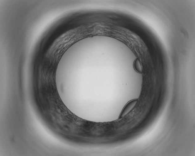 X0000112470142200908311357