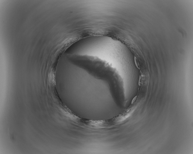 X0000112470143200908311357