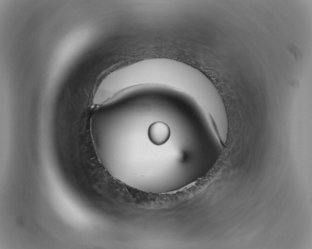 X0000112470144200908311357