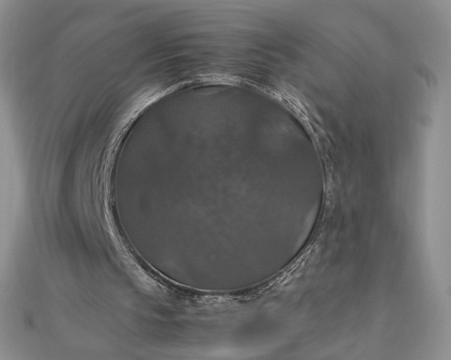 X0000112470145200908311357