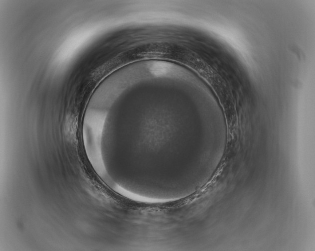 X0000112470146200908311357