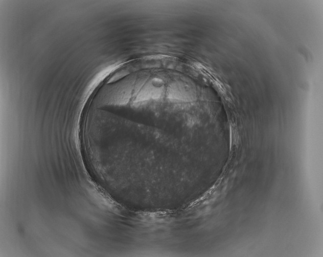 X0000112470147200908311357