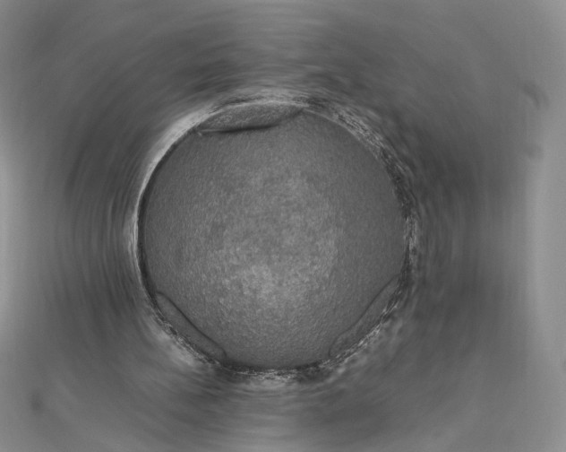 X0000112470148200908311357