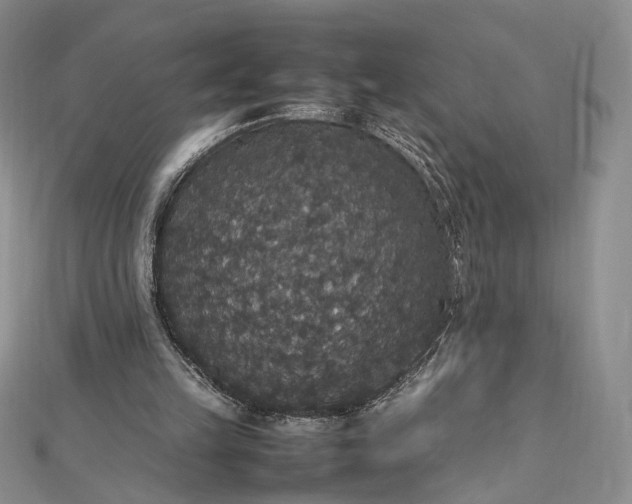 X0000112470149200908311357