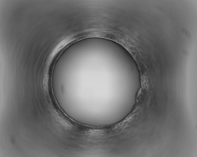 X0000112470150200908311357