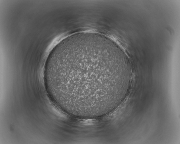 X0000112470151200908311357