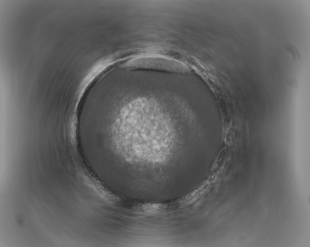 X0000112470152200908311357