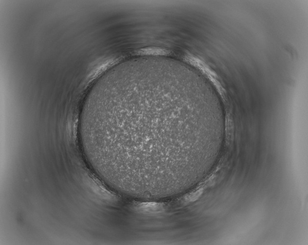 X0000112470153200908311357