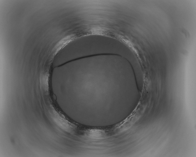 X0000112470154200908311357