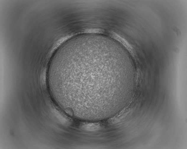 X0000112470155200908311357