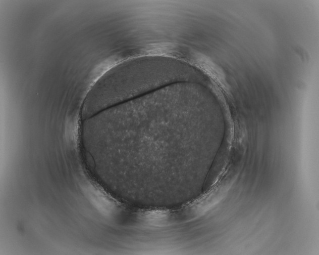 X0000112470156200908311357