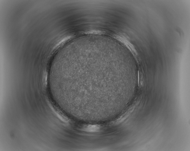 X0000112470157200908311357