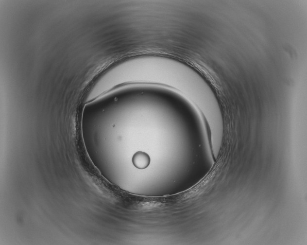 X0000112470158200908311357