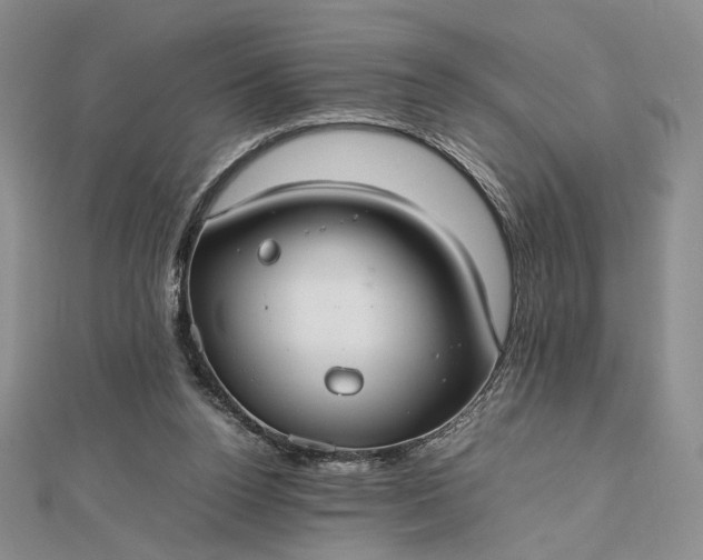 X0000112470160200908311357