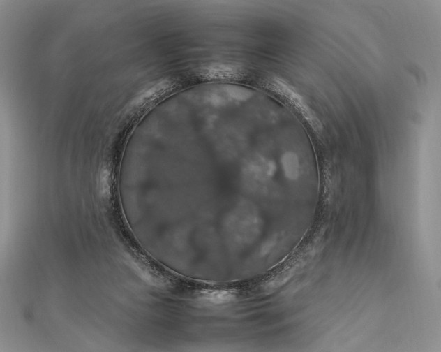 X0000112470161200908311357