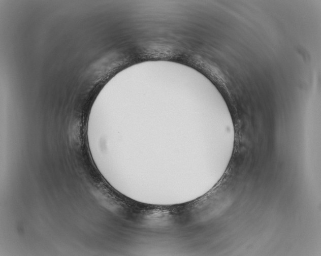 X0000112470162200908311357