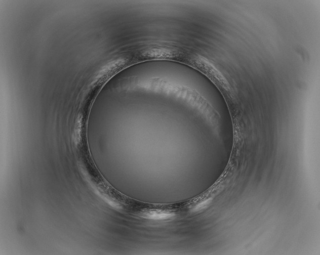 X0000112470163200908311357