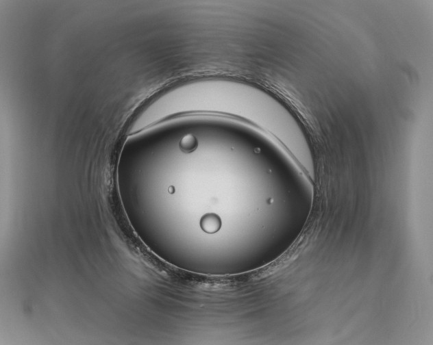 X0000112470164200908311357