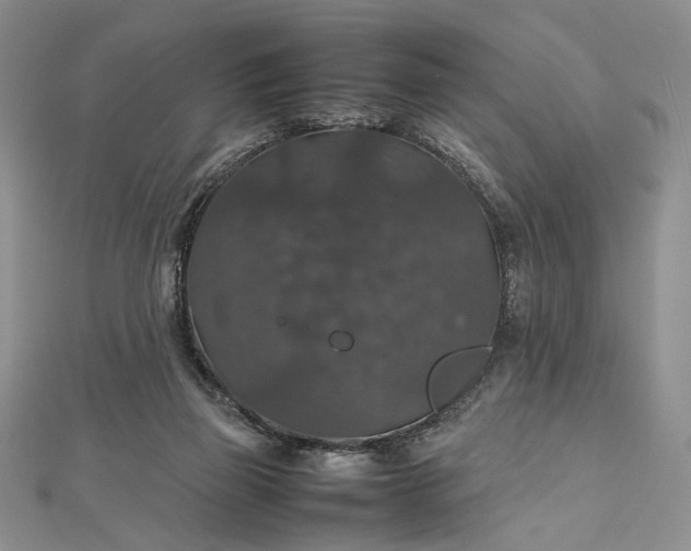 X0000112470165200908311357