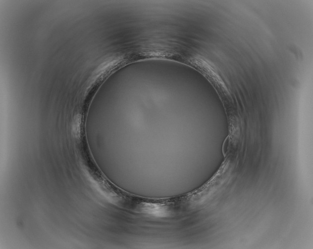 X0000112470167200908311357