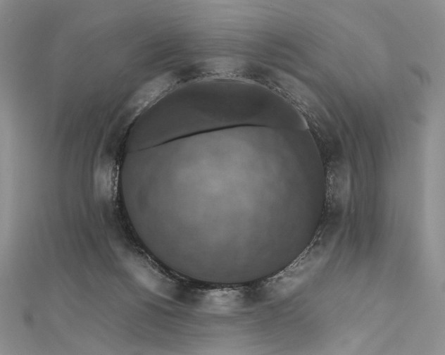 X0000112470168200908311357