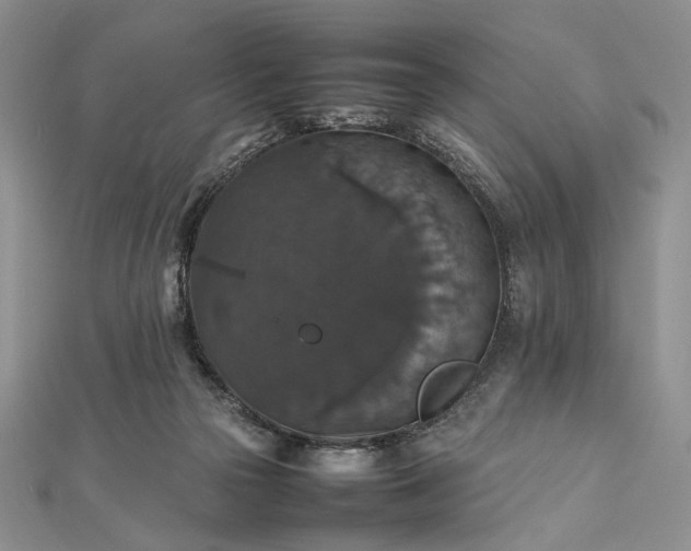 X0000112470169200908311357