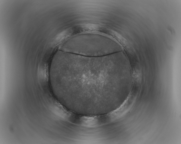 X0000112470170200908311357