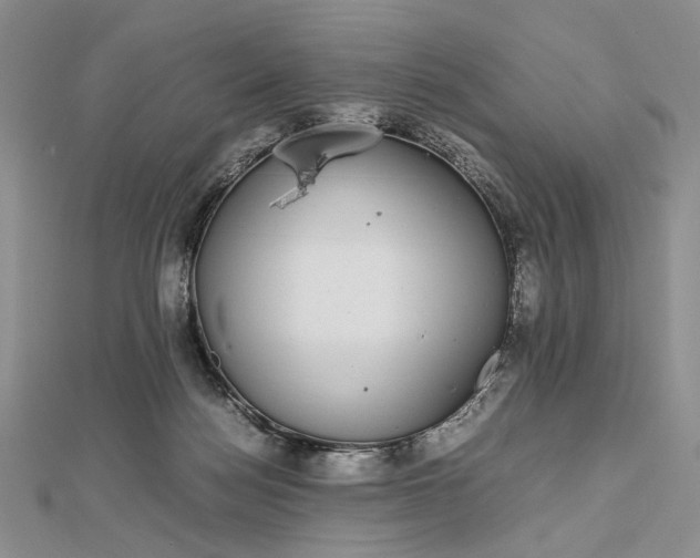 X0000112470172200908311357