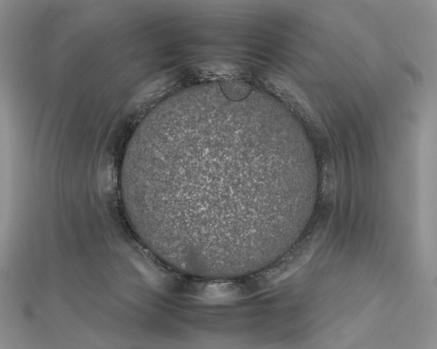 X0000112470173200908311357