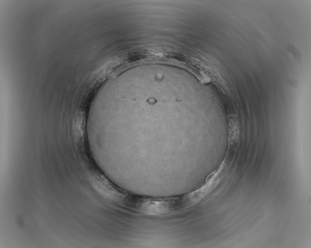 X0000112470174200908311357