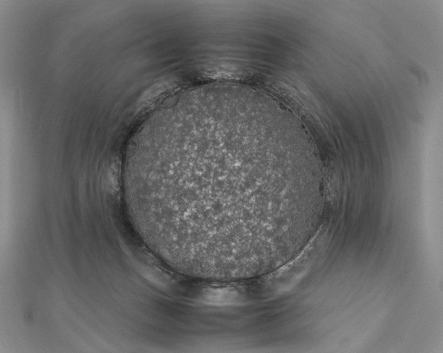 X0000112470175200908311357