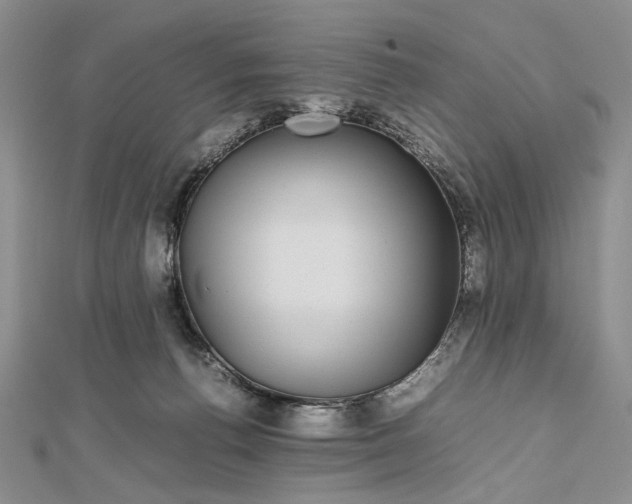 X0000112470176200908311357